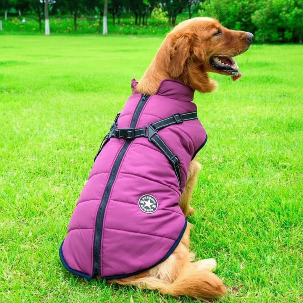 Winter Dog Coat with Harness, Waterproof and Sherpa Fleece Lining