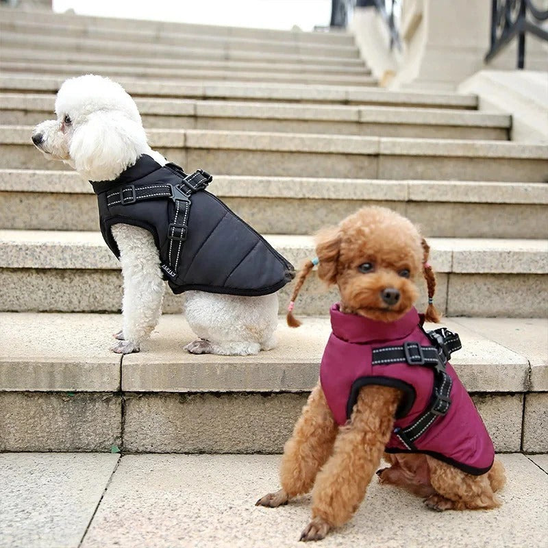 Outdoor Waterproof Dog Jacket with Built-in Harness for Winter