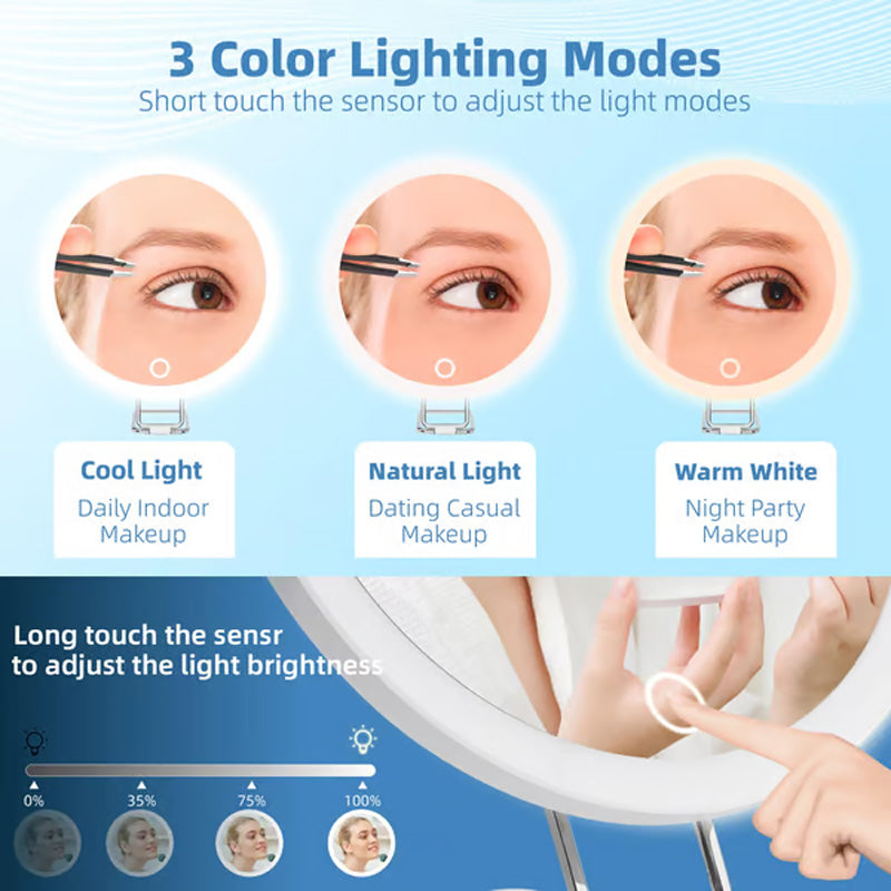 Dimmable Lighted Makeup Mirror with 30x Magnification
