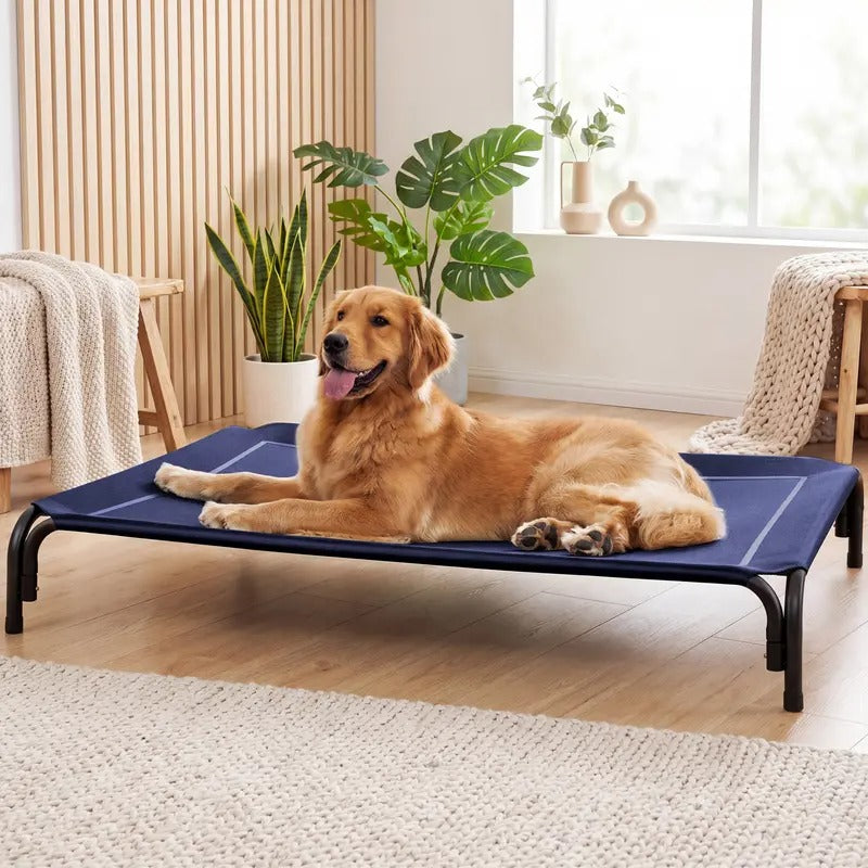 Spacious Dog Bed with Breathable Mesh for Indoor and Outdoor Comfort