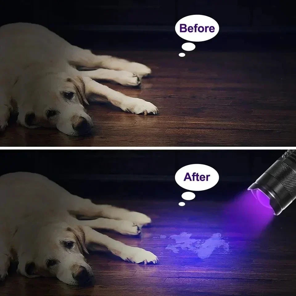 Ultraviolet Flashlight for Detecting Pet Urine Stains – LED Blacklight