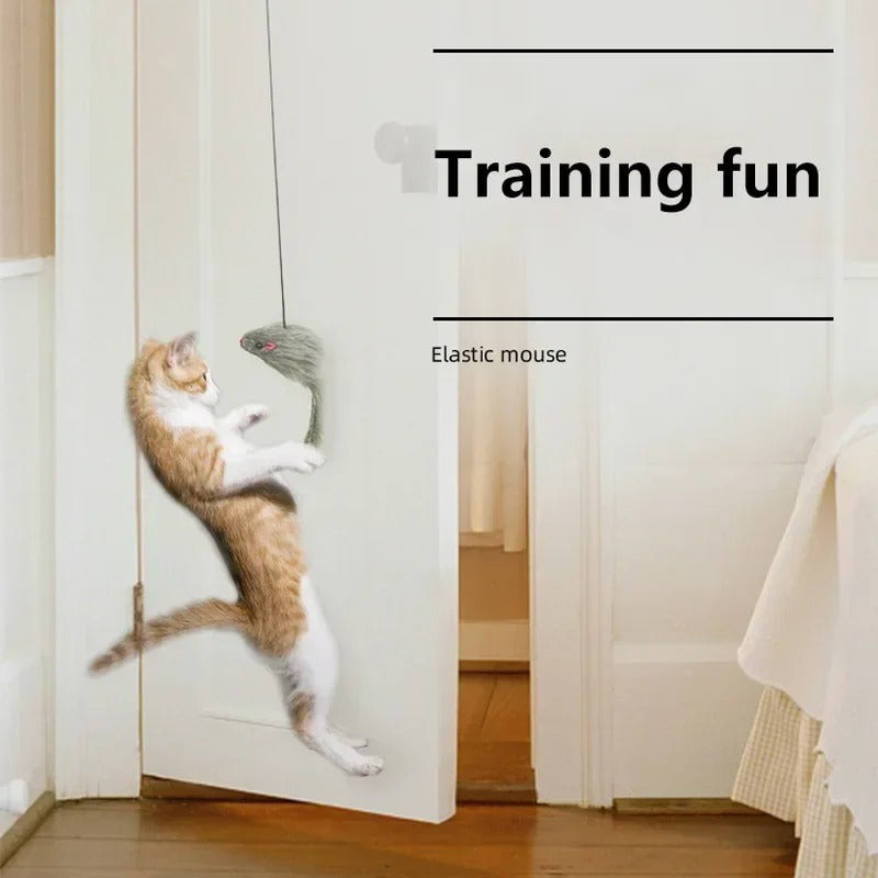 Door-Mounted Interactive Toy for Cats with Stretchy Cord