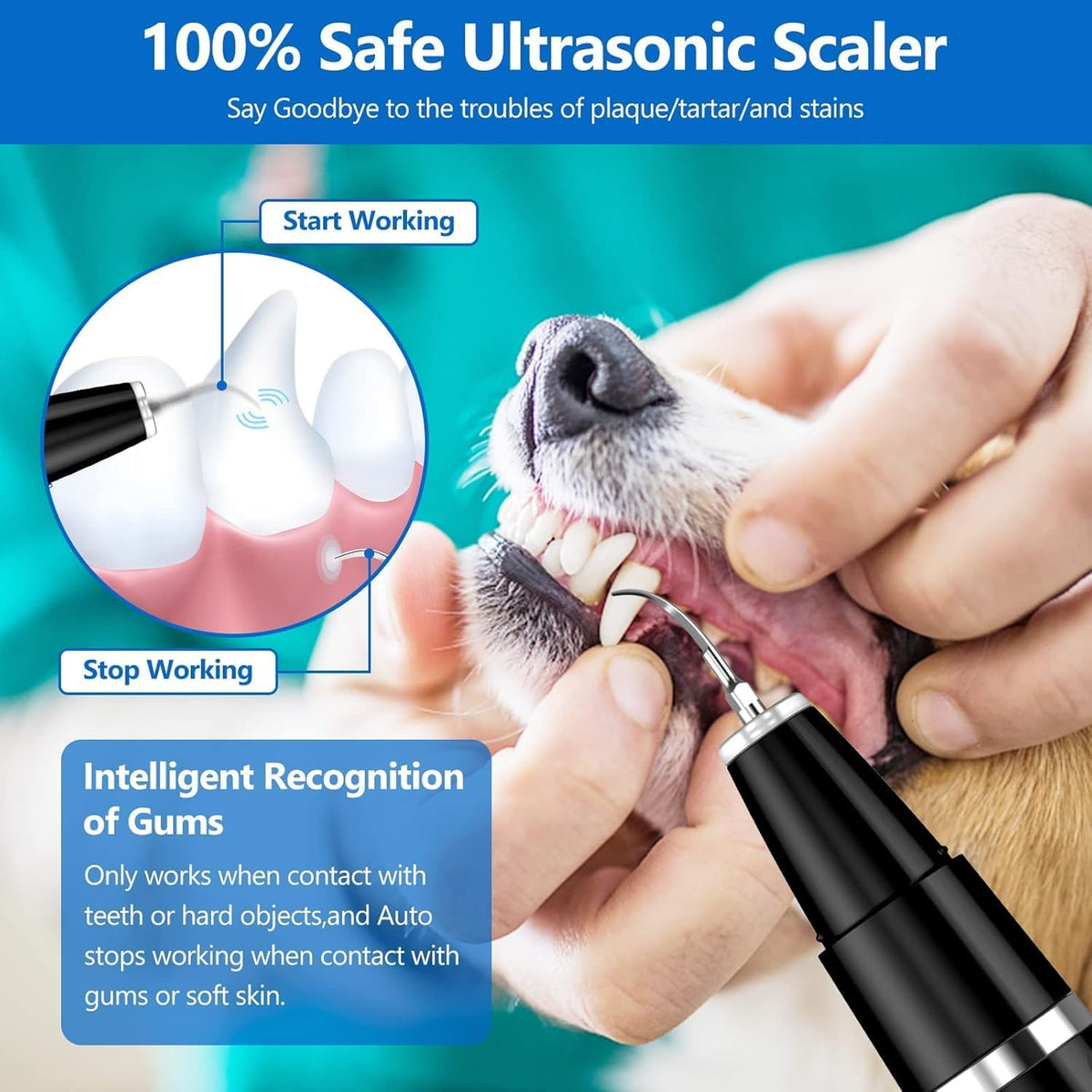 Teeth Cleaning Kit for Dogs and Cats - Ultrasonic Plaque and Tartar Remover