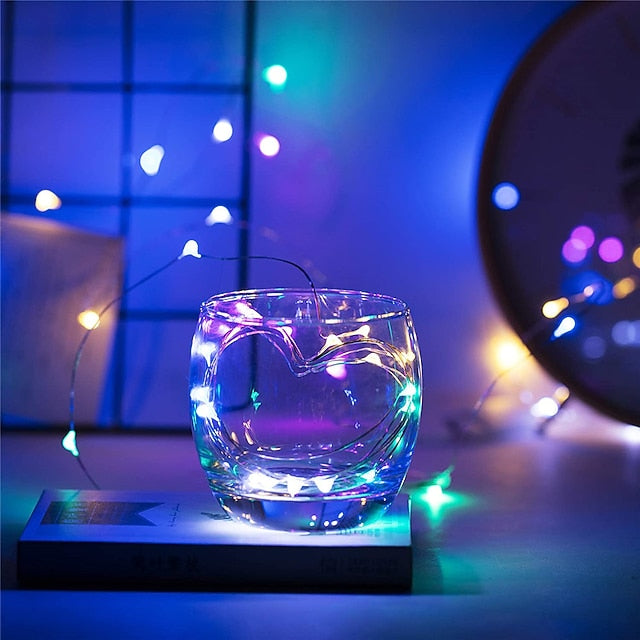 20 LED Battery-Powered Fairy Lights on 7Ft Flexible Silver Wire for Weddings and Mason Jar Decoration