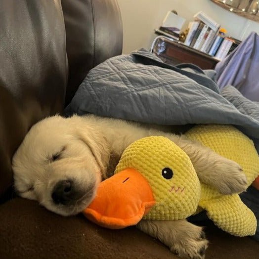 Plush Comfort Toy for Dogs - Calming Duck Design to Reduce Anxiety