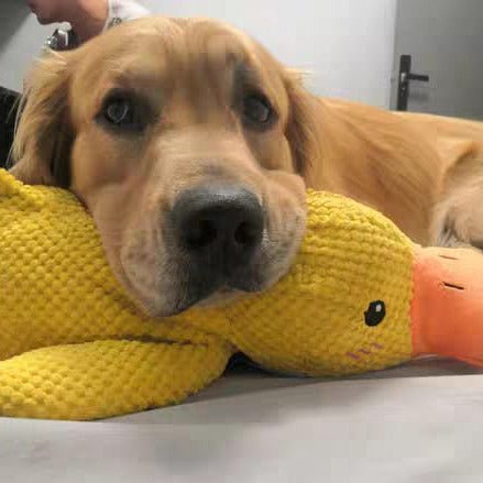 Plush Comfort Toy for Dogs - Calming Duck Design to Reduce Anxiety