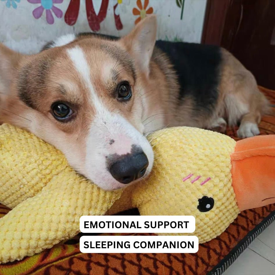 Plush Comfort Toy for Dogs - Calming Duck Design to Reduce Anxiety