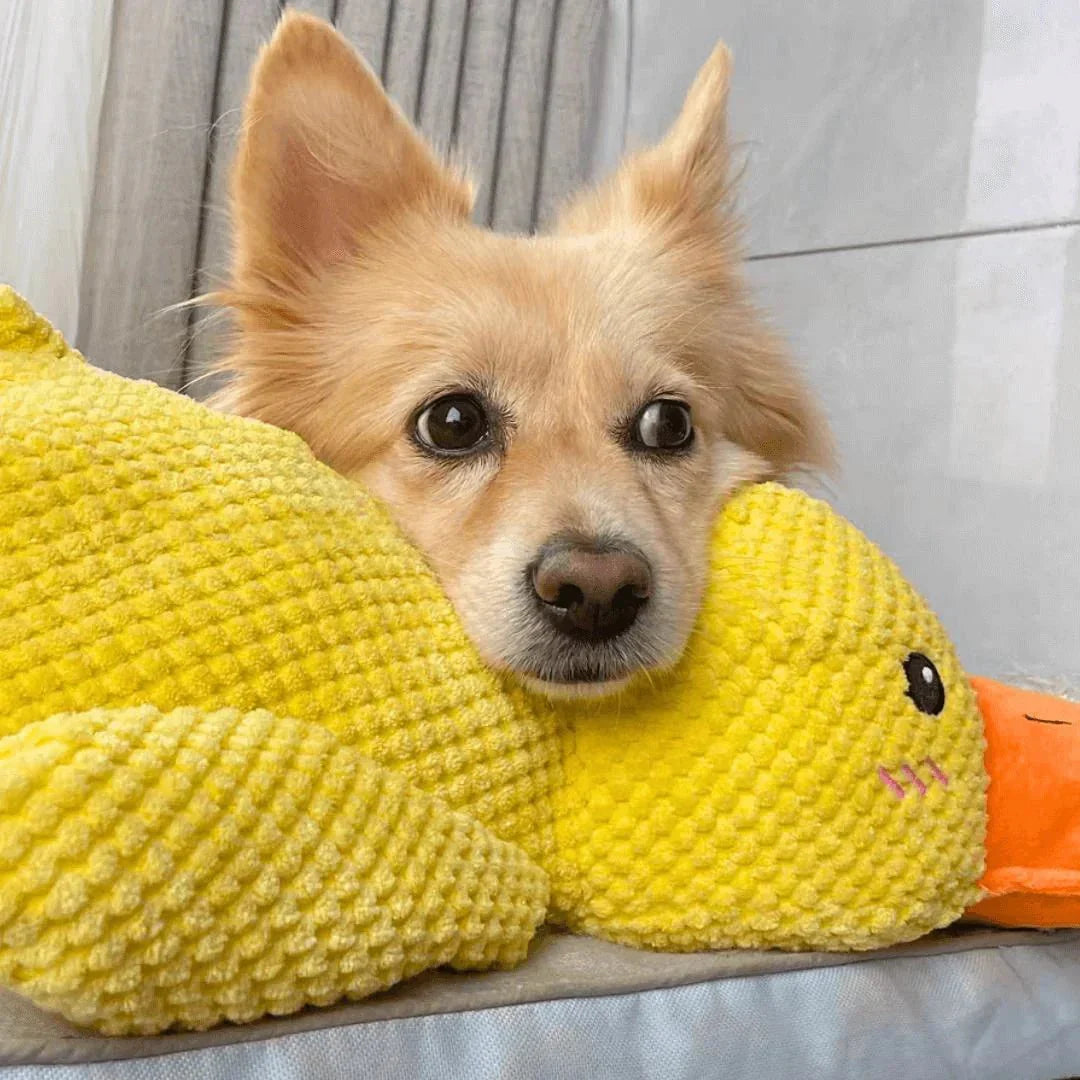 Plush Comfort Toy for Dogs - Calming Duck Design to Reduce Anxiety