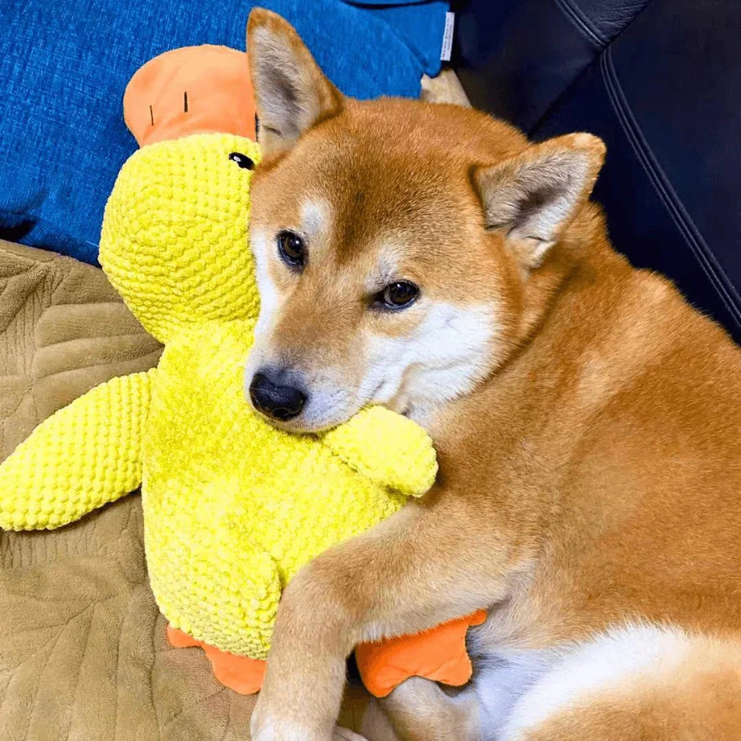 Plush Comfort Toy for Dogs - Calming Duck Design to Reduce Anxiety