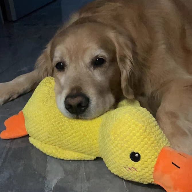 Plush Comfort Toy for Dogs - Calming Duck Design to Reduce Anxiety