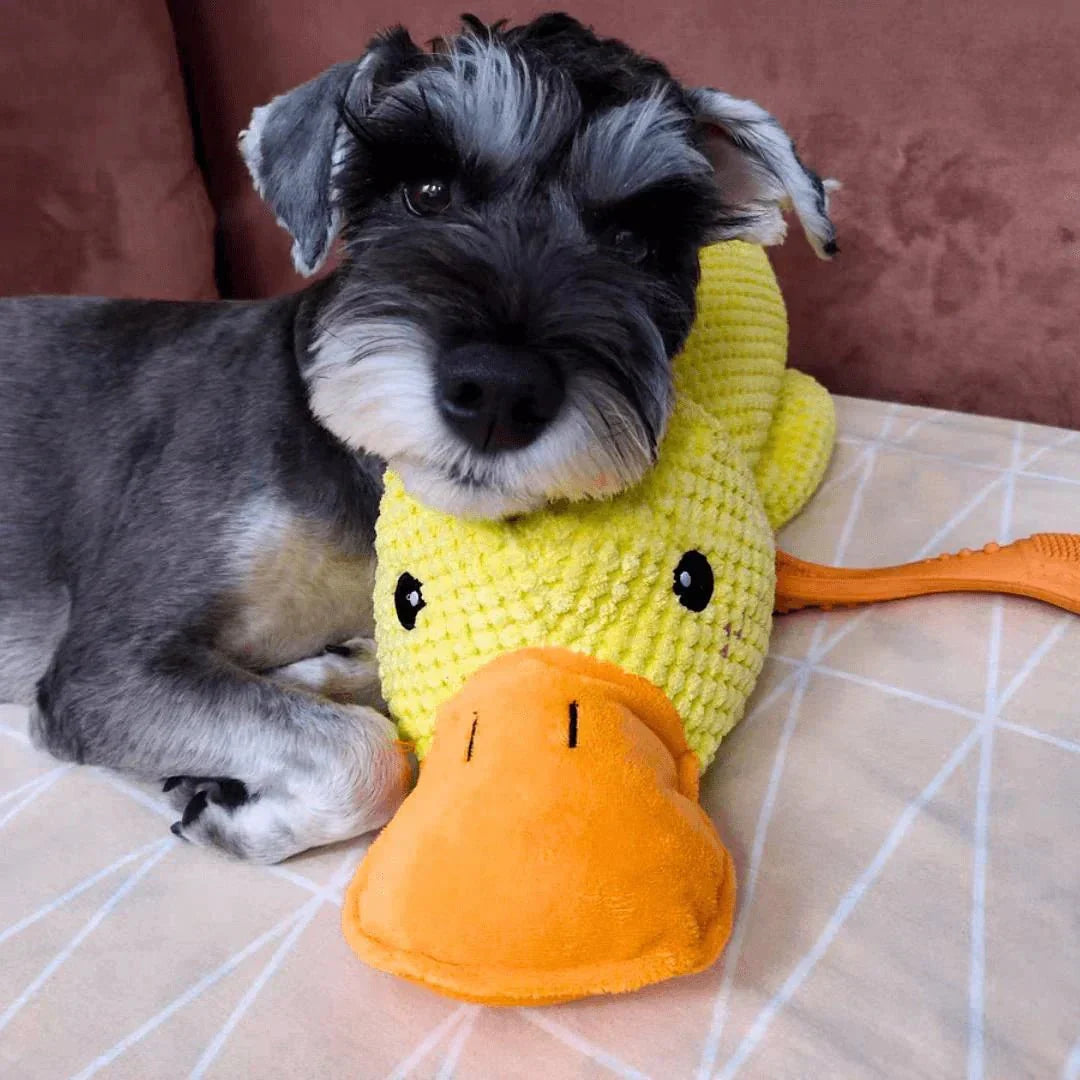 Plush Comfort Toy for Dogs - Calming Duck Design to Reduce Anxiety