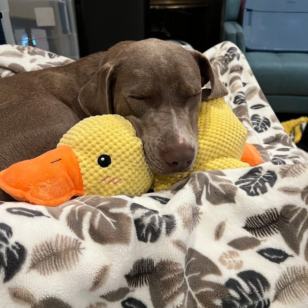 Plush Comfort Toy for Dogs - Calming Duck Design to Reduce Anxiety