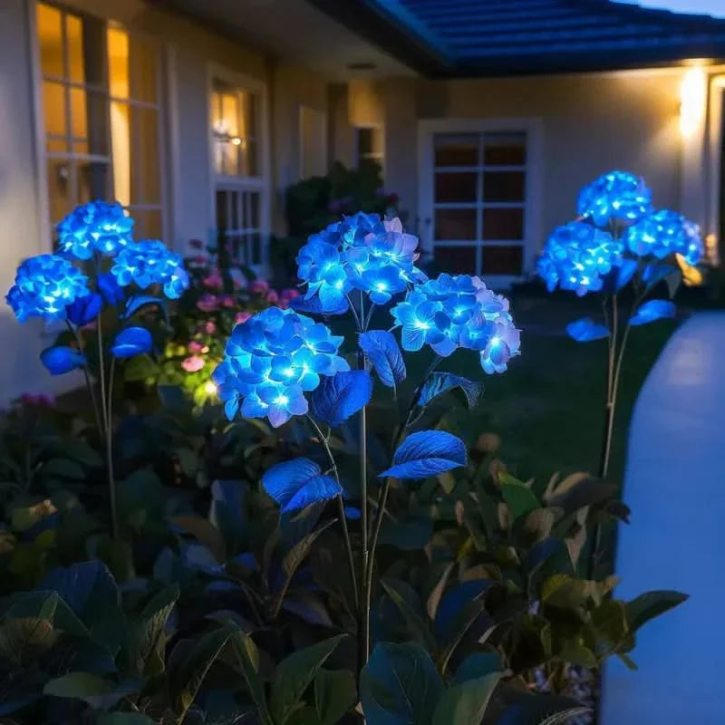 Elegant Outdoor Hydrangea Decor for a Radiant Ambiance