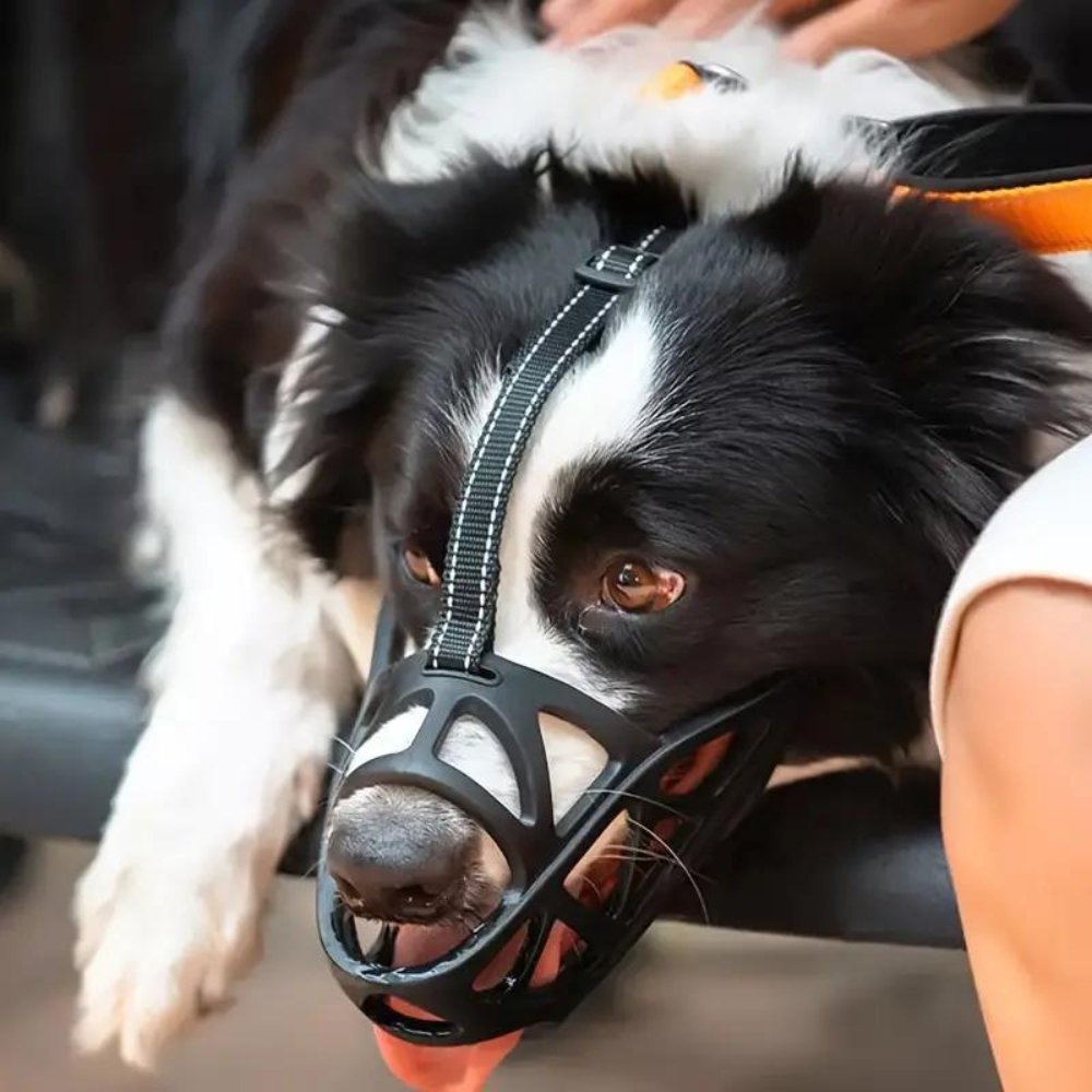 Adjustable Basket Muzzle for Dogs | Anti-Bark and Anti-Bite Protection