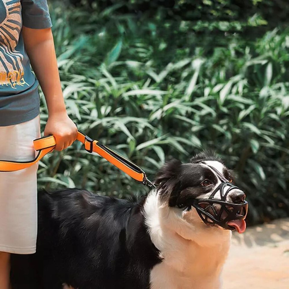 Adjustable Basket Muzzle for Dogs | Anti-Bark and Anti-Bite Protection