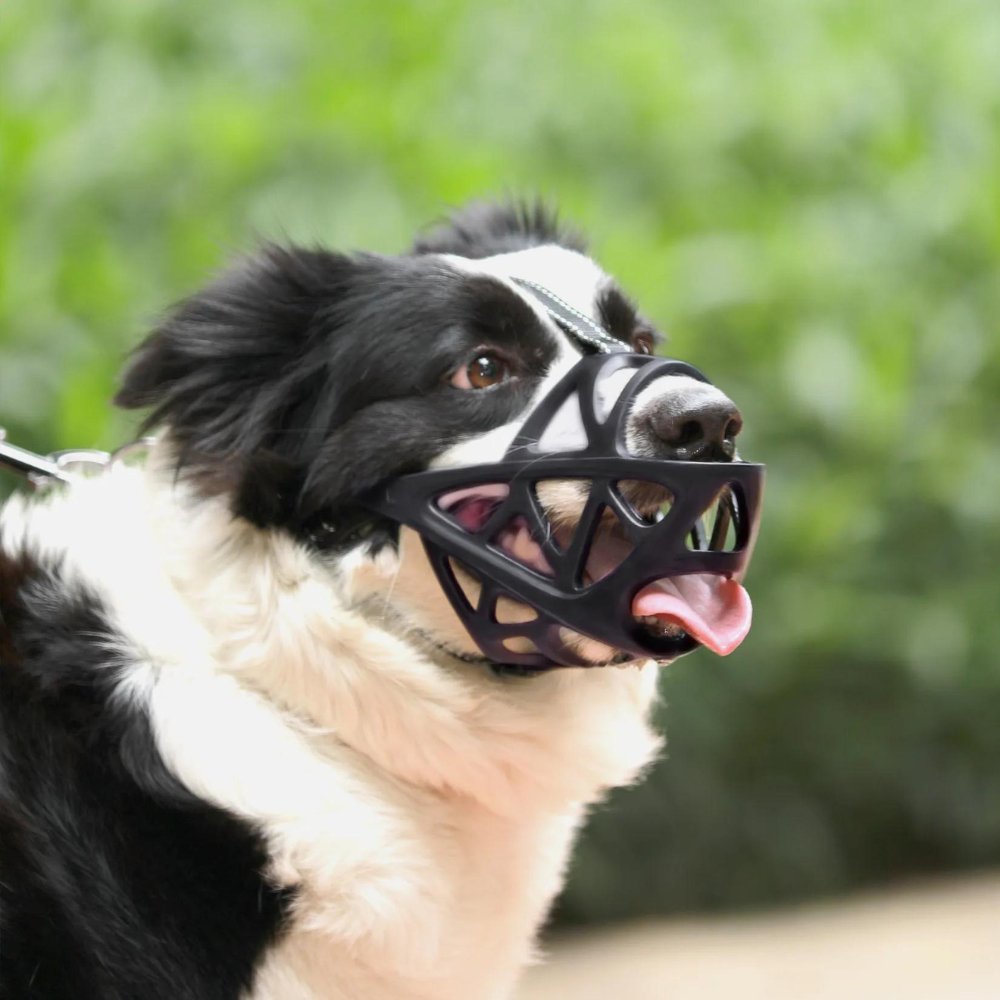 Adjustable Basket Muzzle for Dogs | Anti-Bark and Anti-Bite Protection