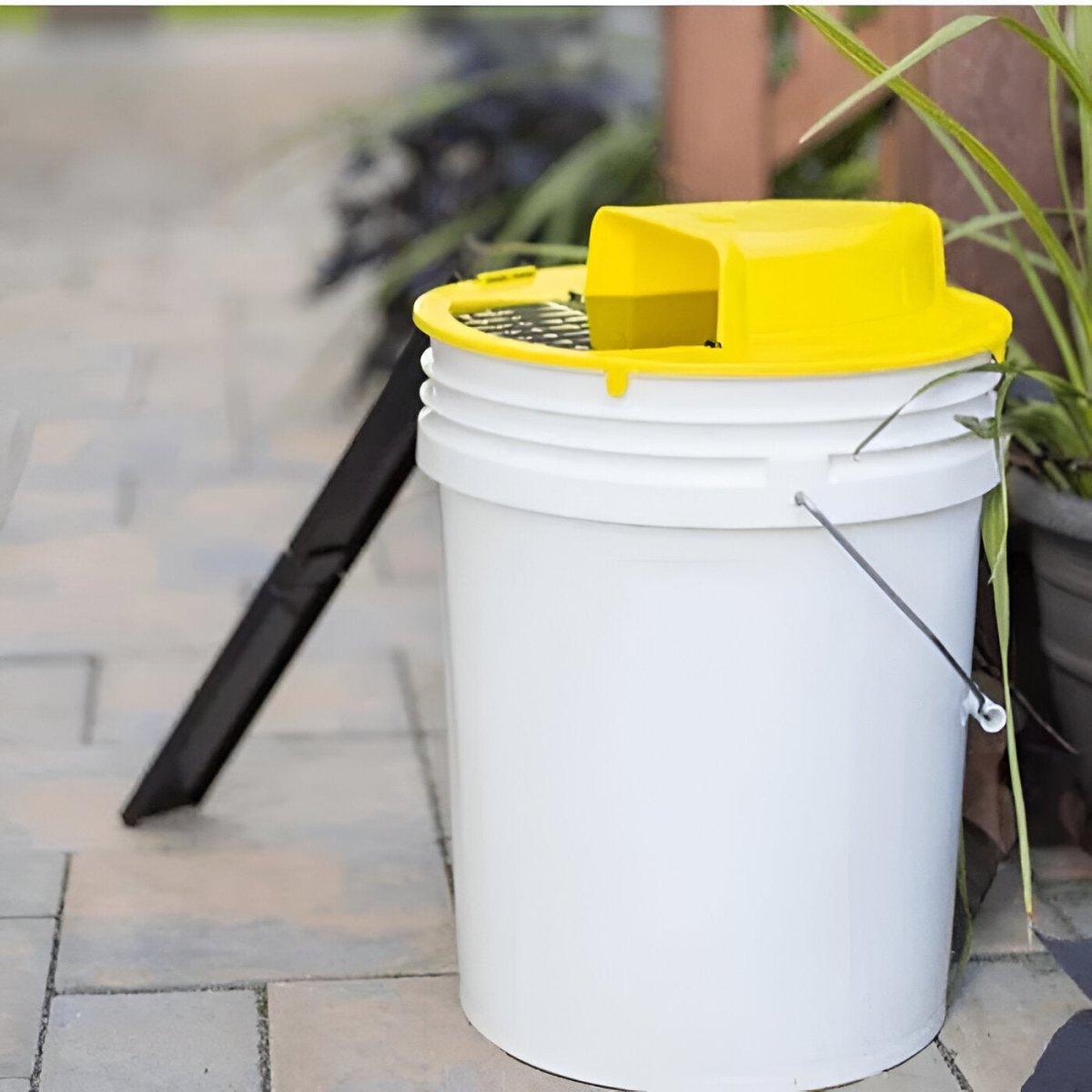 Indoor Rodent Control Trap - Touchless Multi-Catch for Pet Safety