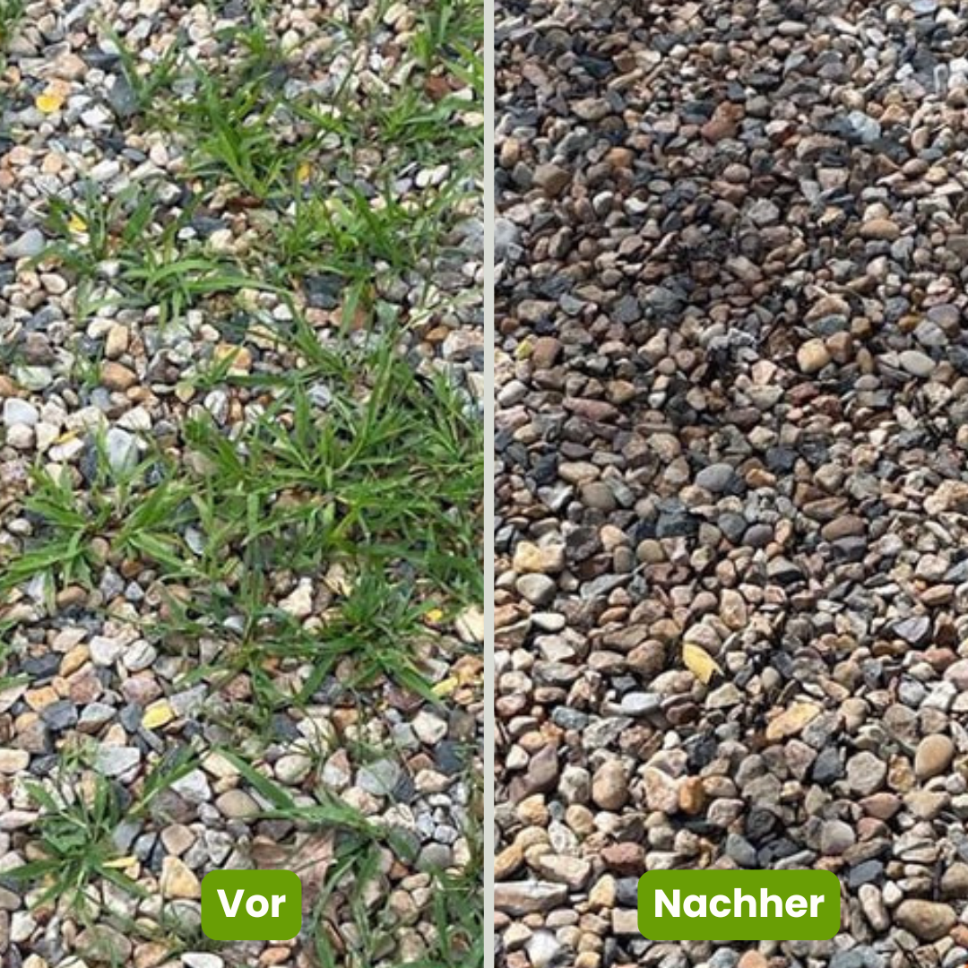 EcoFlame Weed Eliminator | Chemical-Free Heat Treatment Tool