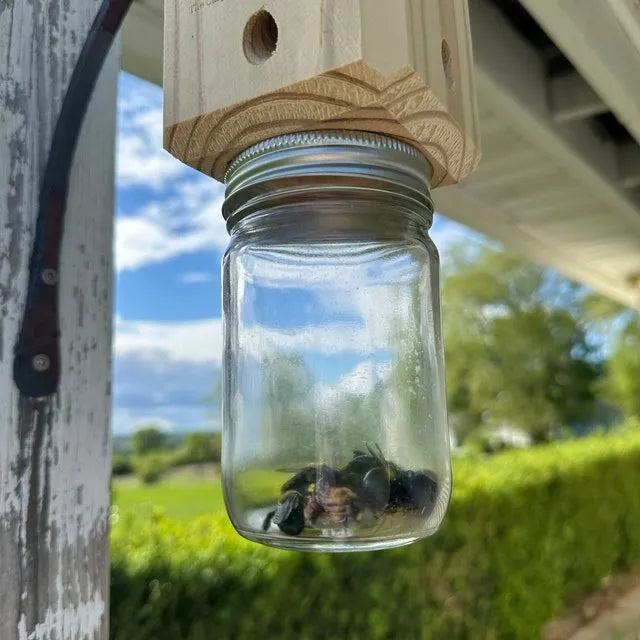 Chemical-Free Outdoor Carpenter Bee Catcher – Wooden Trap for Decks, Fences & Eaves