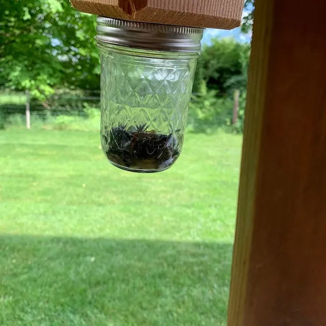 Chemical-Free Outdoor Carpenter Bee Catcher – Wooden Trap for Decks, Fences & Eaves