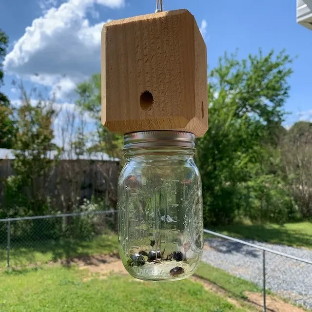 Chemical-Free Outdoor Carpenter Bee Catcher – Wooden Trap for Decks, Fences & Eaves
