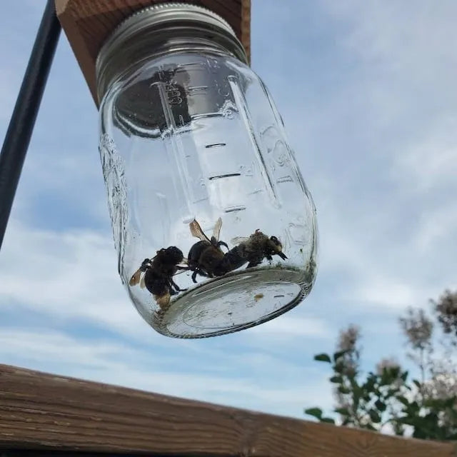 Chemical-Free Outdoor Carpenter Bee Catcher – Wooden Trap for Decks, Fences & Eaves